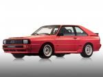Audi Sport Quattro 1984 года (WW)